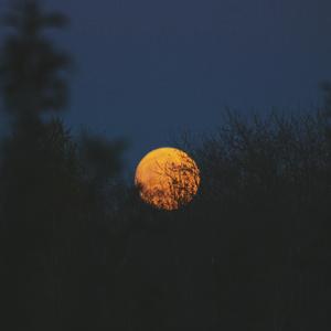 免费的全黄A片自慰
