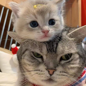 免费的全黄A片自慰
