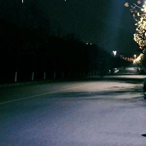 免费的全黄A片自慰
