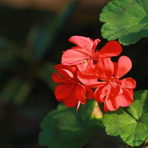 免费的全黄A片自慰
