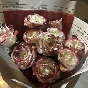 免费的全黄A片自慰
