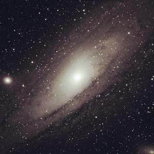 免费的全黄A片自慰
